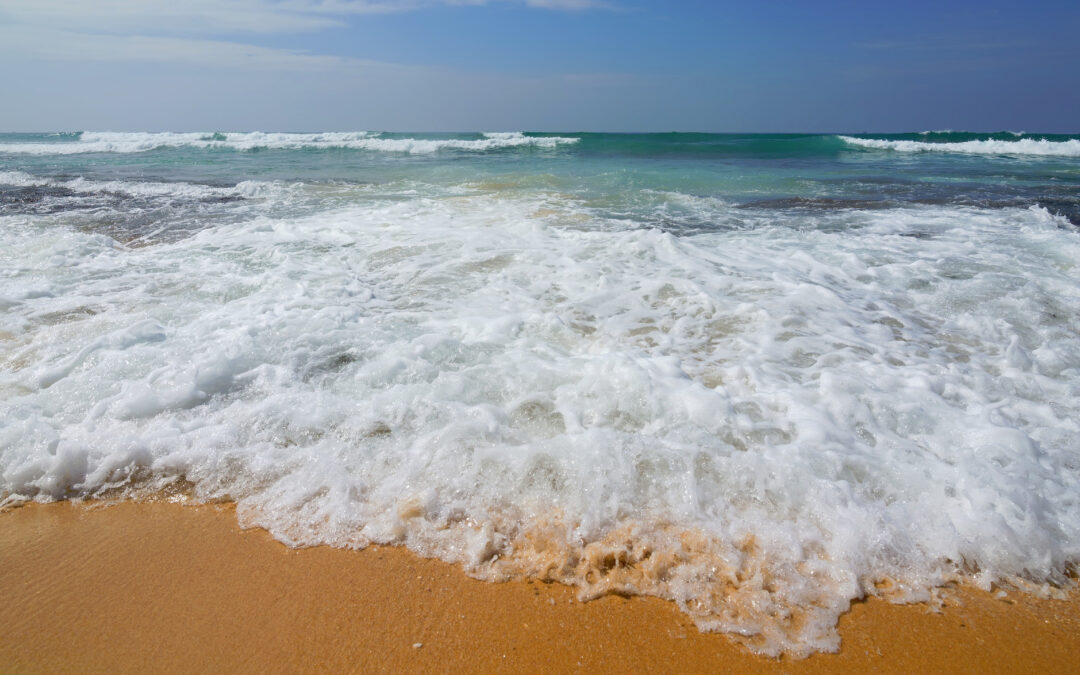May 2024 Ventura Sand Summit Recap
